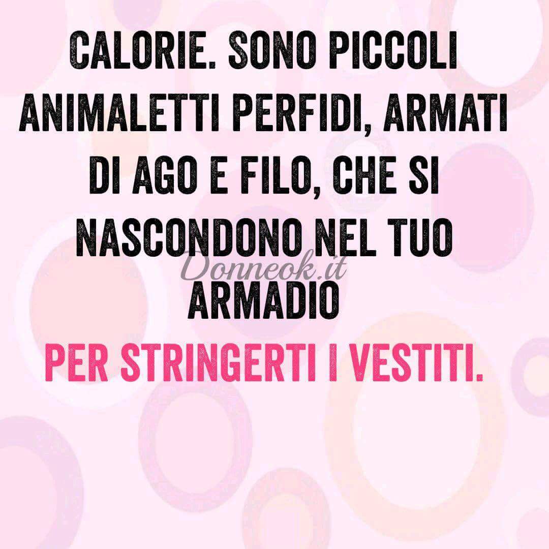 BlogAndTheCity1's tweet photo. #Ho #saputo #or ora di #questi #animaletti #adesso ho #capito #perche' #non mi #entrano #più i #vestiti #fashionblog https://t.co/bCv7MLGjZ0