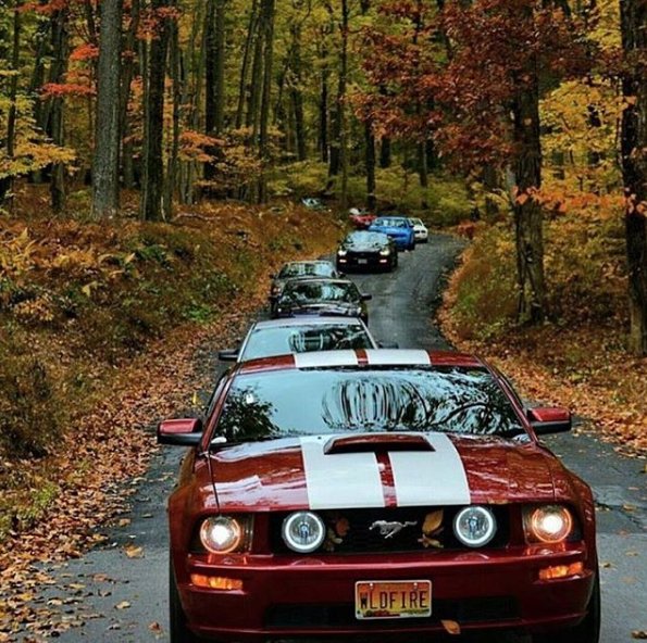 InterstateFord's tweet image. Take a fun drive with friends to celebrate the start of the fall season; from all of us here at Interstate Ford.
