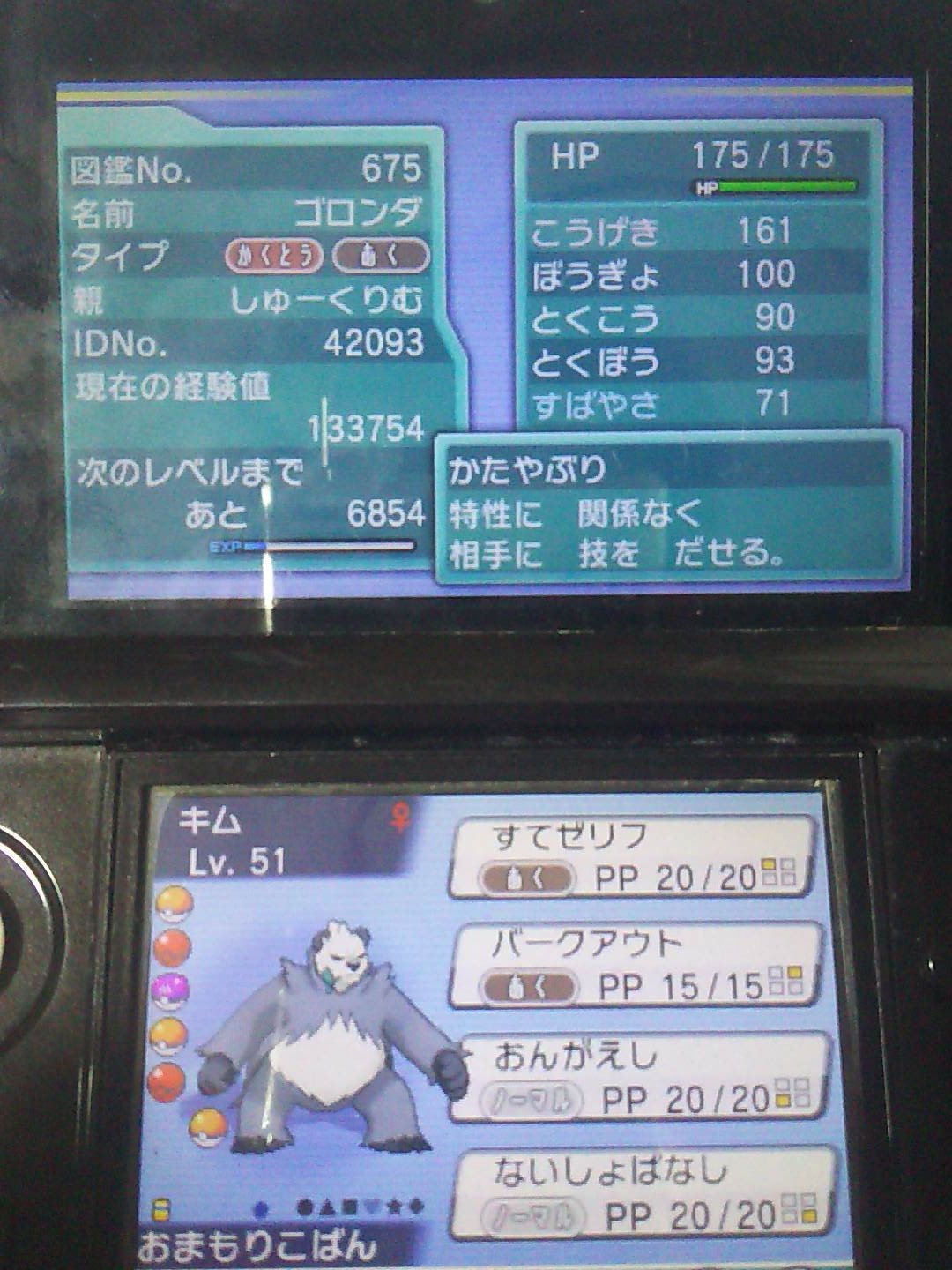 毎日ゴロンダ Mainitigoronda Twitter