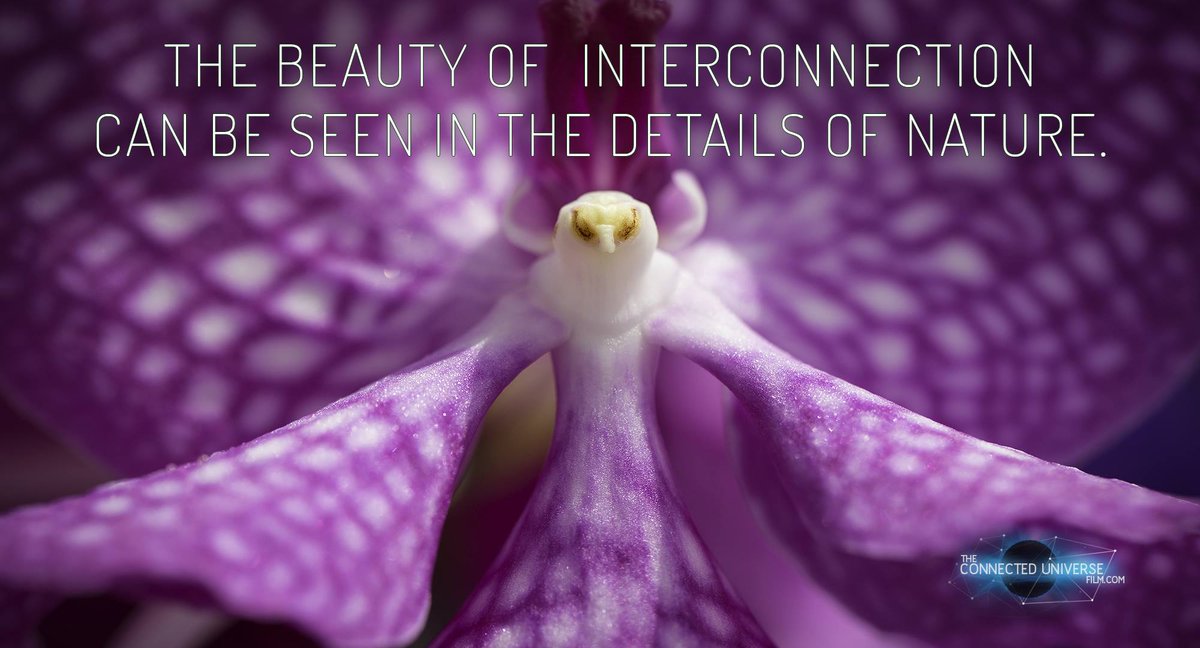 ConnectdUnivrse's tweet image. It's mind-bending when you start to truly understand how interconnected everything is in the Universe. #ConnectedUniverse .@NassimHaramein