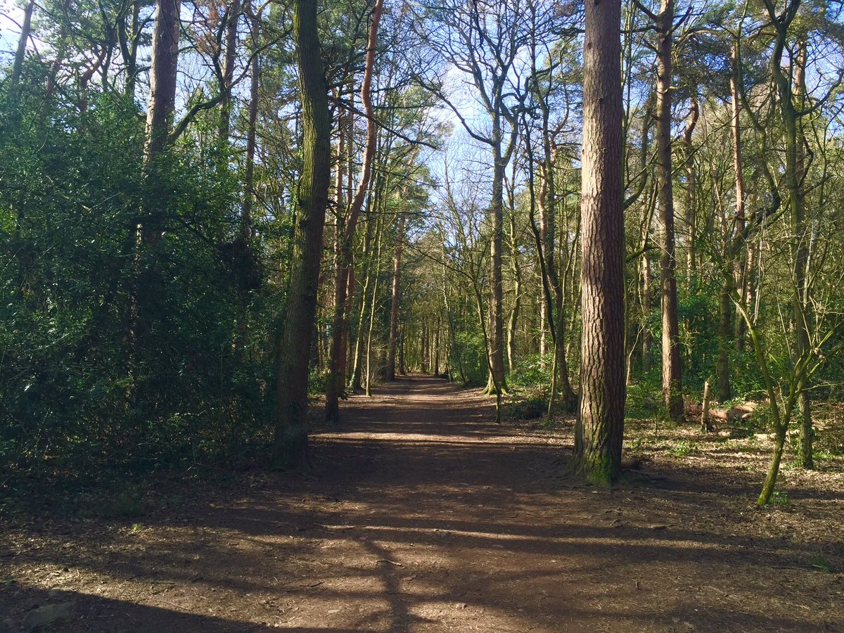 theoutdoorcity's tweet photo. 80 public parks, 650 green &amp; open spaces,+ more trees per person than any other European city #Sheffield #GEONSheffield #GreatNorthExpo2018 https://t.co/Hfr1oQdm2W