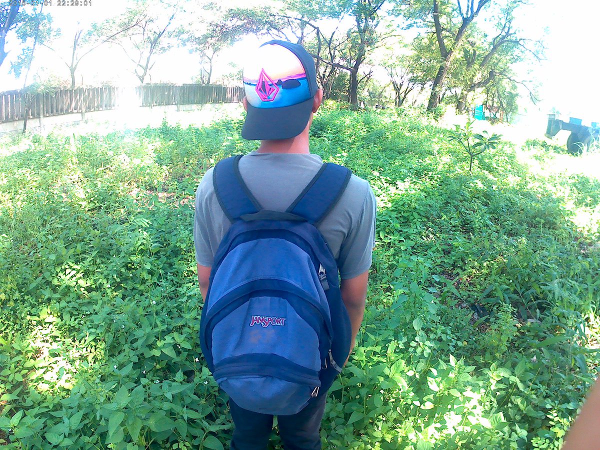 rof995 tweet picture