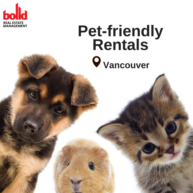 leochrenko's tweet photo. We are listing PET-FRIENDLY rentals!!
Find out more here: https://t.co/roNZyiwpg8
#vancouver #bolldrentals #petsofvancouver https://t.co/78sJLpuZEm