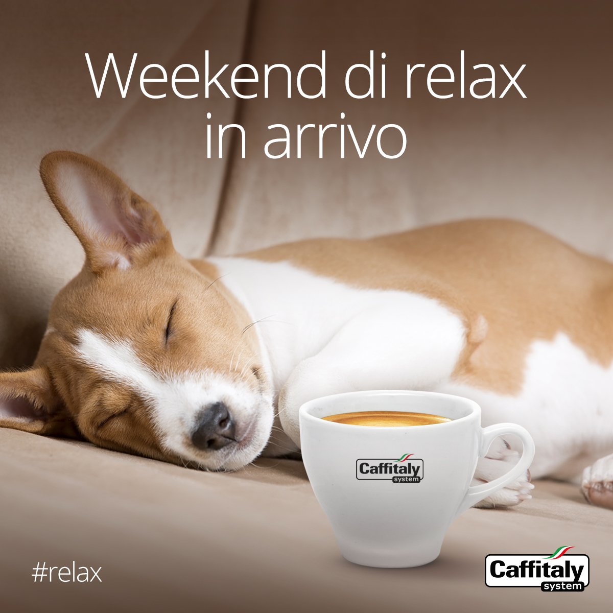 Caffitaly System tweet media