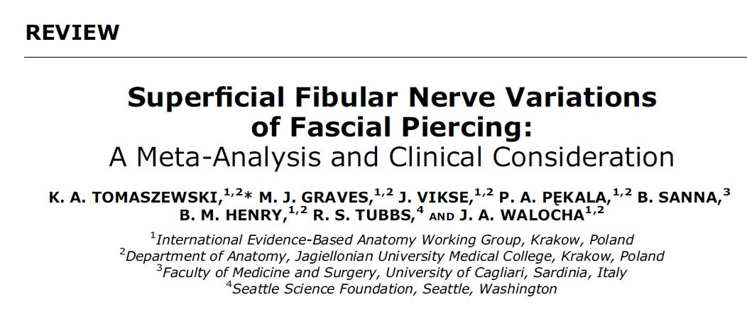 amandameyerphd's tweet image. Meta-analysis of 665 #LowerExtremities found #SuperficialFibularNerve variation in 17.3% #CHI234 #anatomy