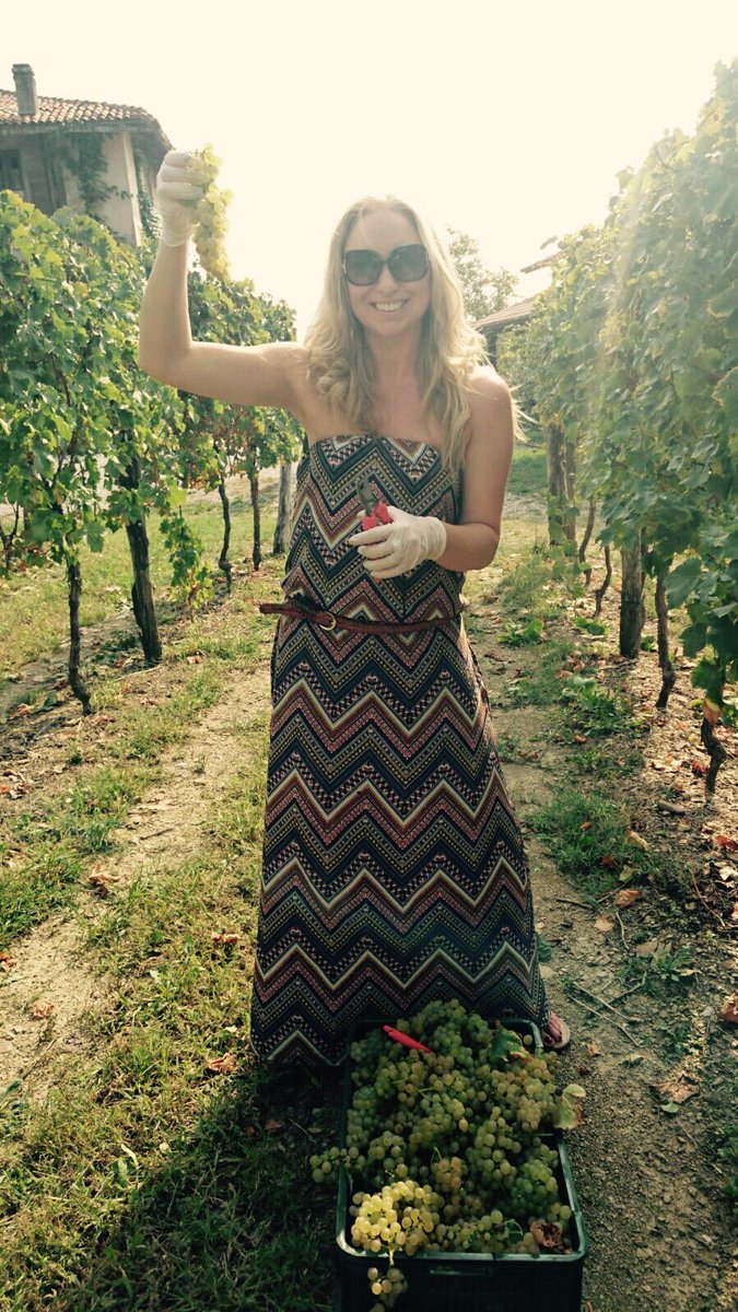 KatieB1818's tweet photo. Thank you for your wonderful hospitality over the the last few days! @KletBrda @BerkmannWine #Slovenia #sloveinawine #bubbles #snacks https://t.co/P5mO6T0tqH