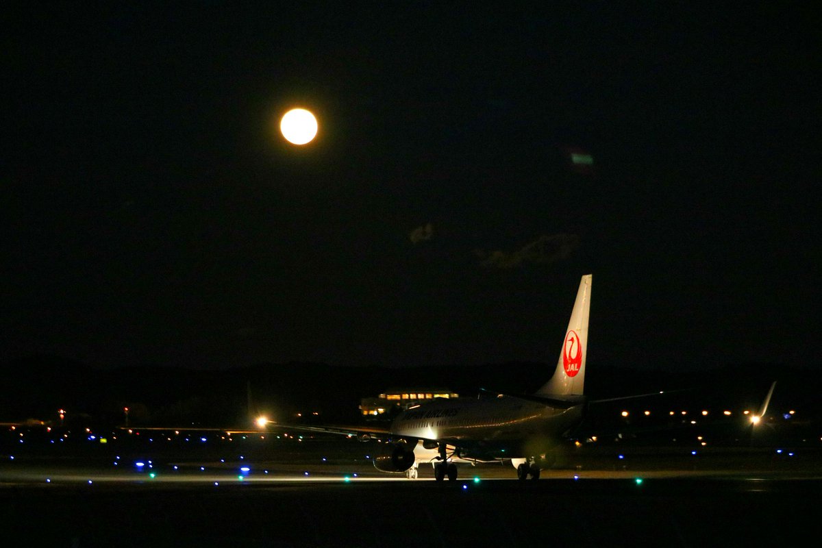 満月と鶴丸
岡山空港 B737－800