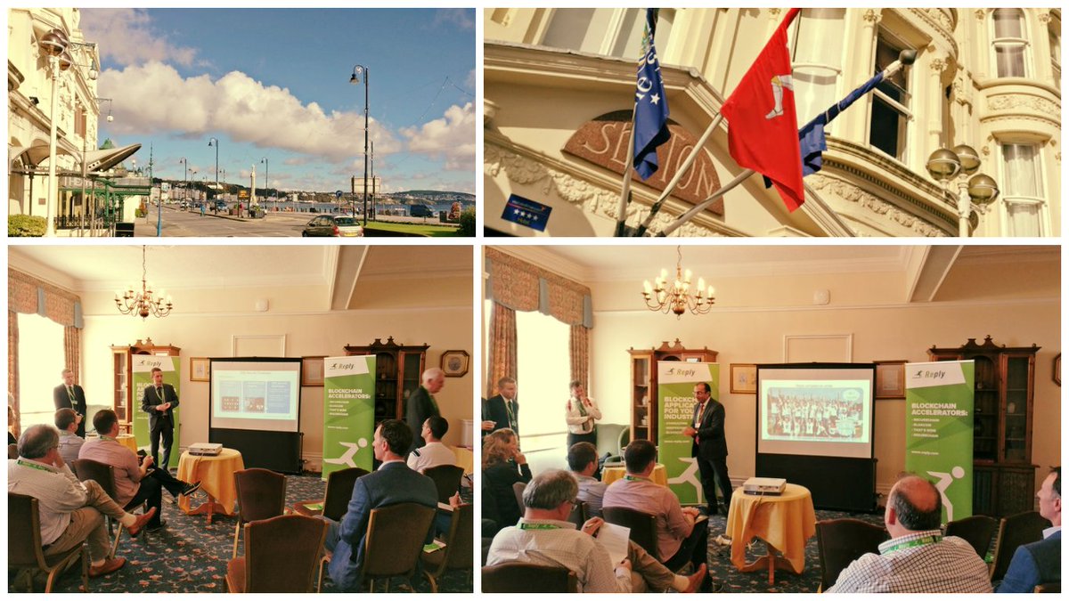 Sytel Reply tweet media