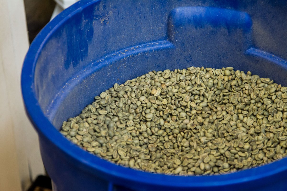 Time to throw these beans into the roaster and get ready for the #weekend! #roastloud #goshencoffee #coffee #coffeebeans