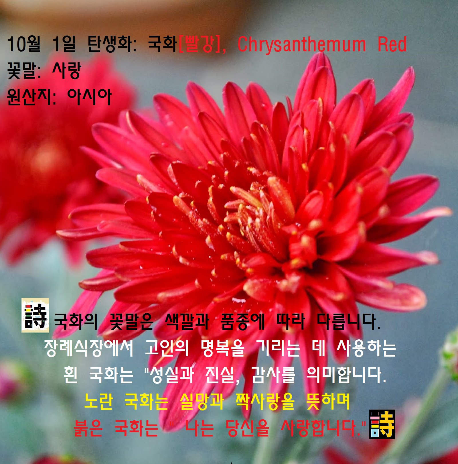 별이 내 가슴에 On Twitter: