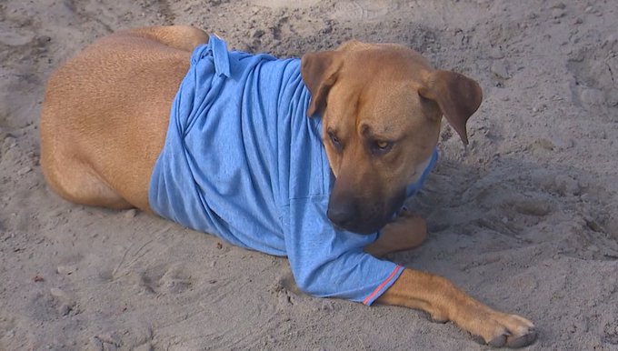 View image on Twitter