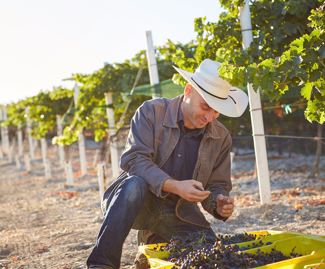Join us for our Harvest Winemaker Dinner on October 15th! #harvest #dinner #winery #wine <a href="/crush_catering/">crush</a>