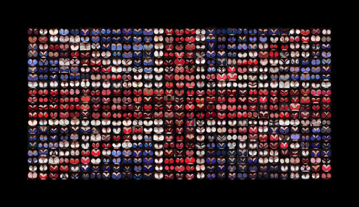 Jamie McCartney tweet media