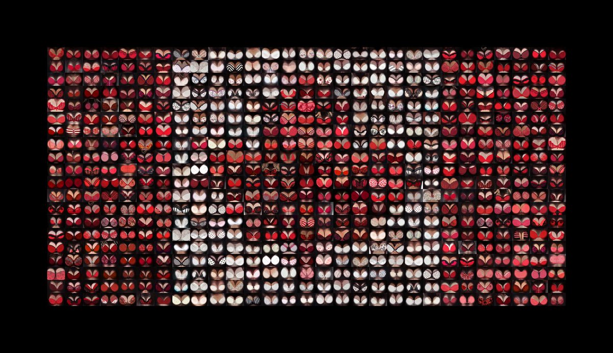 Jamie McCartney tweet media