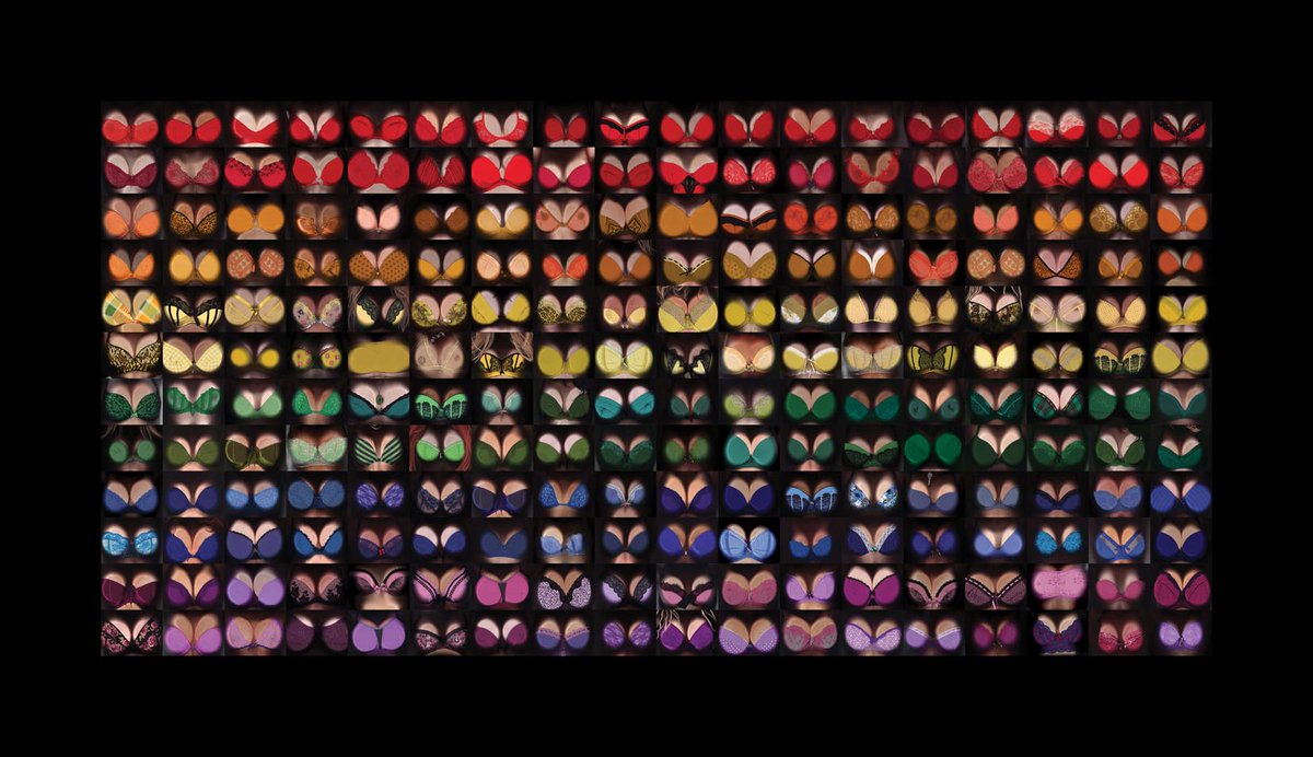 Jamie McCartney tweet media