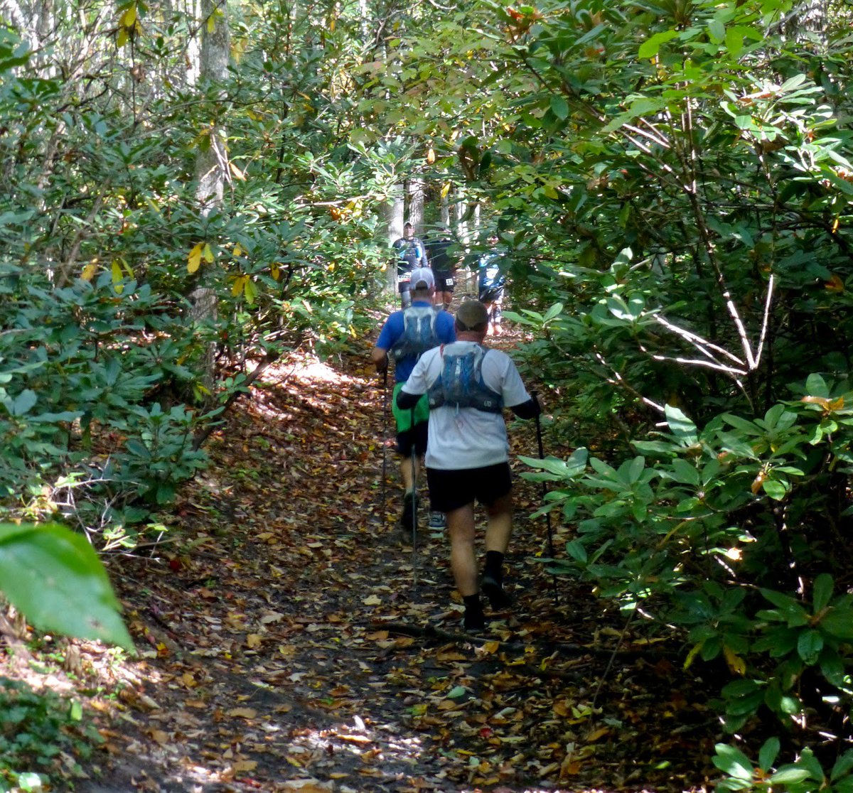 KY Outdoor Adventure tweet media