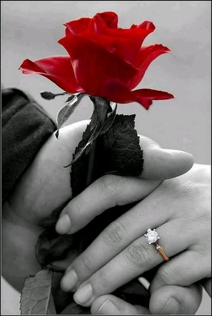 k_o_k_y89 (@sajida_hani) on Twitter photo 