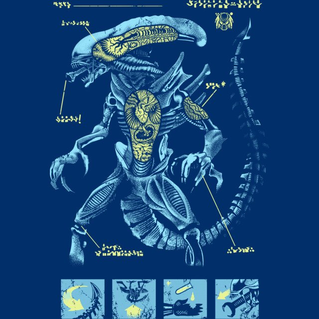 Dr Elizabeth Shaw (@creatorsseeker) on Twitter photo 