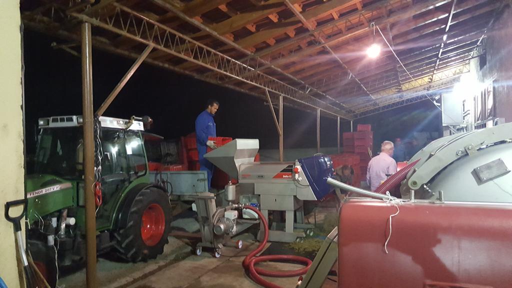 Night work in Tomac winery, 50% Riesling it's home💪💪💪👏👏