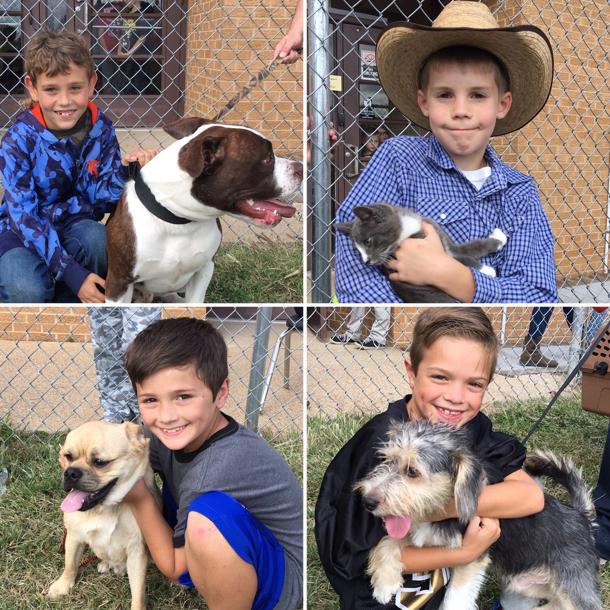 cogle2nd's tweet photo. Today we brought in some new friends! #petparade #MCLeads #R3Awesome @jewbug22 https://t.co/sd9RnqmKqr