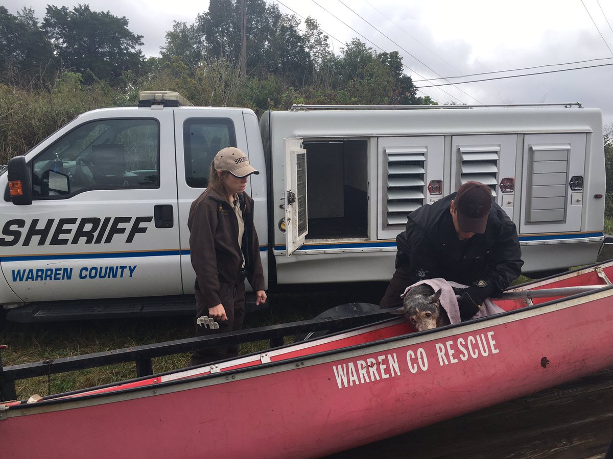 WCTechRescue's tweet photo. Dog rescued and returned to its owners earlier today at Jennings Creek with the help of WCTRT. https://t.co/HmCrIzX3vA