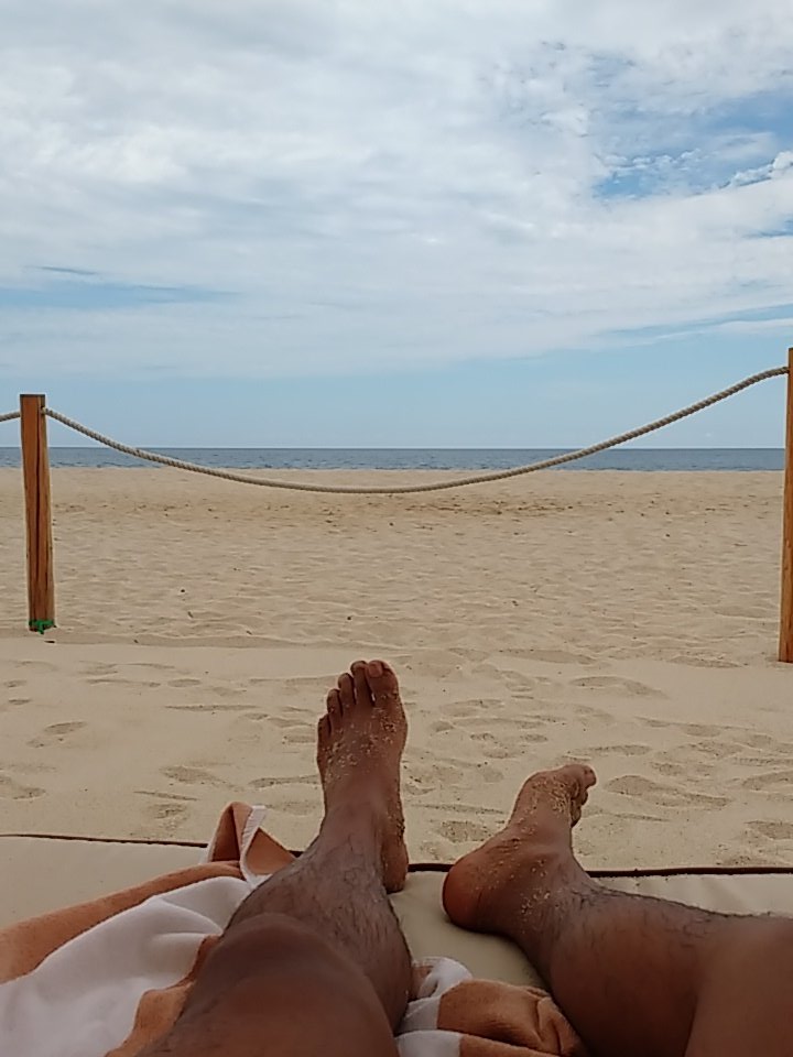 Marco Campillo tweet media