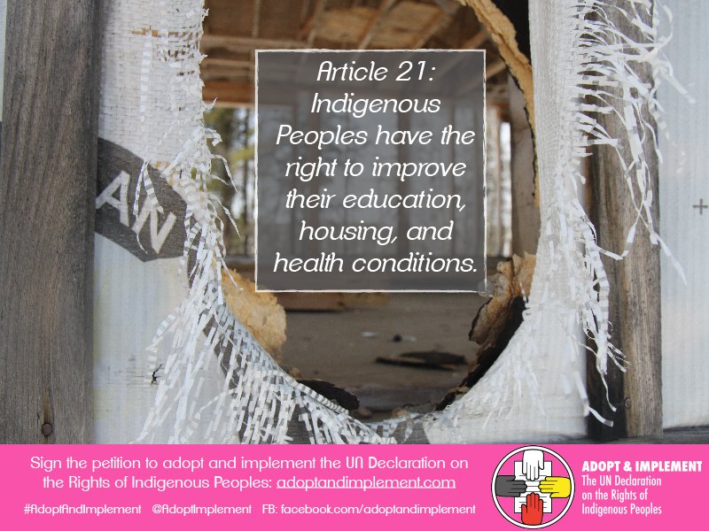 Article 21: Indigenous Peoples have the right to improve their education, housing, and health conditions. #UNDRIP adoptandimplement.com