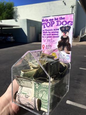 auntritas's tweet photo. Look who is the running her little paws off to be the leader of the pack for @thebarbra1 Team #BSW100 @aidswalkphx Mila, the mini Schnauzer! https://t.co/GFE8D5CxJR