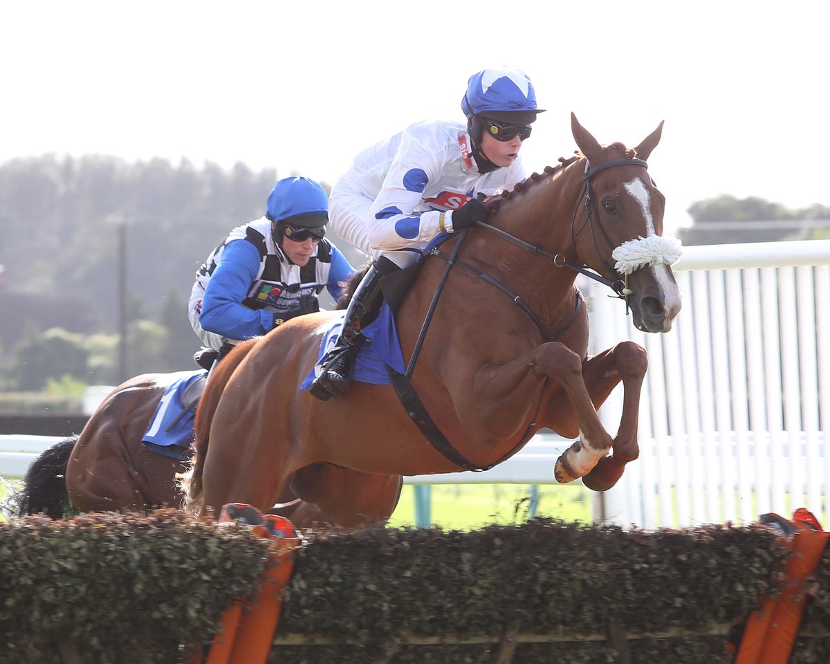 amajox's tweet photo. Congrats @amajox #JamesKing WINS @FontwellPark Hcap Hdle #HygrovePercy @Neil_Mulholland #madeall #5ran #topjock https://t.co/ZtW587IM8L