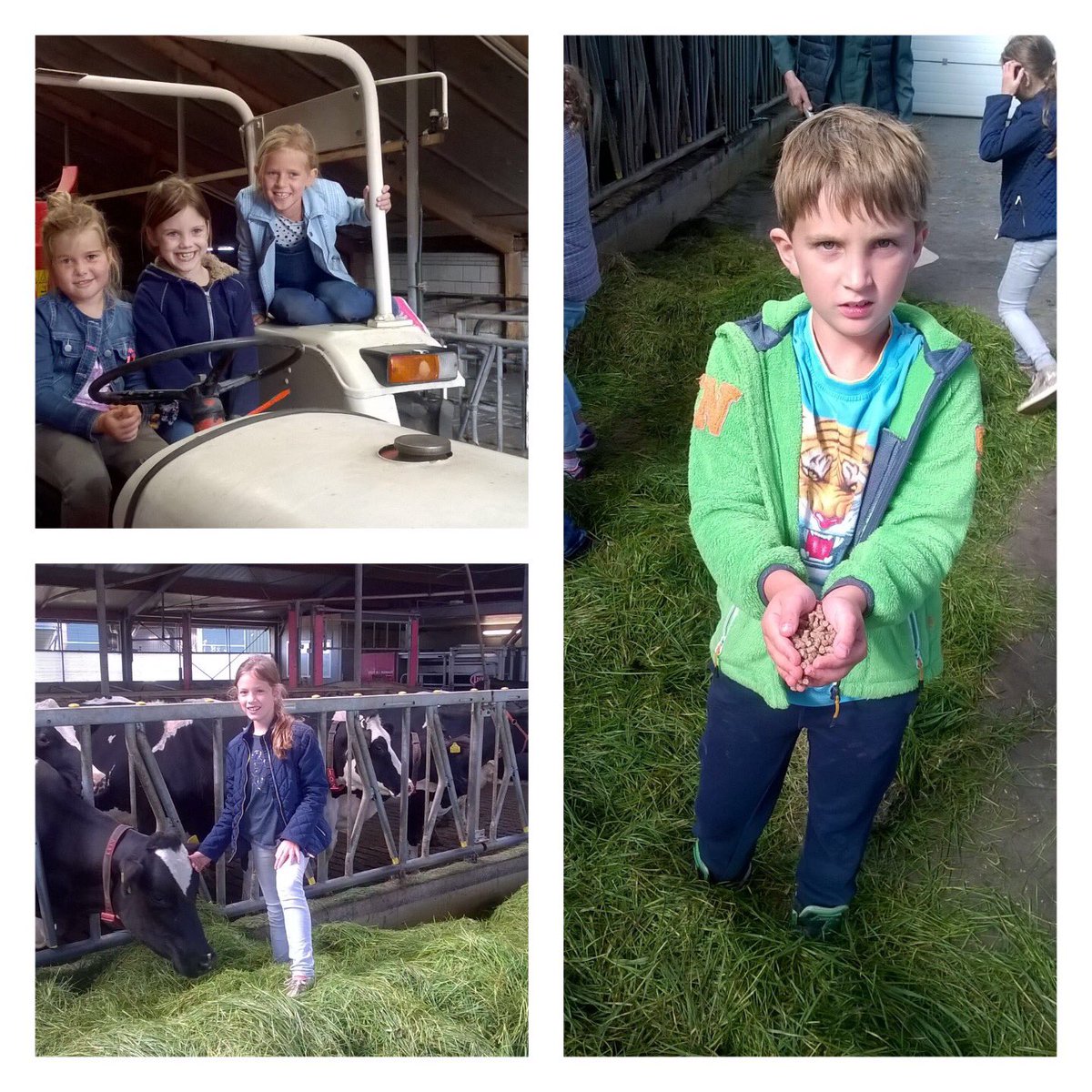 obs_Ridderspoor's tweet image. Groep 5 had een leerzaam en gezellig uitje naar de boerderij #bix #melkrobot #boeiendbuiten #themaNL