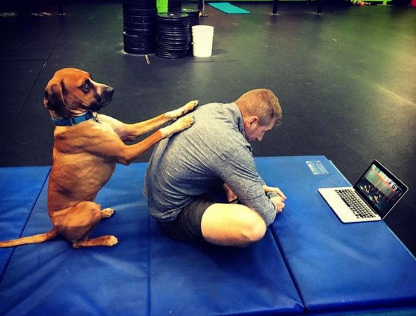 thinkpup's tweet image. Study Finally Confirms That #Dogs Are Simply Better Company Than People buff.ly/2cnu5J4