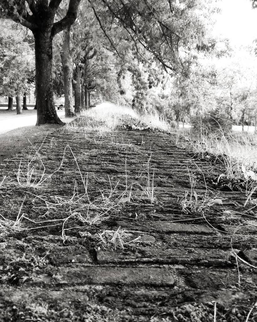 meshorizons's tweet image. Wall #OnePlusLife #oneplus3 #oneplustech #sky #lake #water #life #clouds #wanderlust #pico… ift.tt/2cHE5If