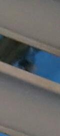RodriguezMaicky's tweet photo. AGRESORES LIGONES 24 HORAS VEA LA FOTO SERPIENTE mecanica SALIO DE LA PARED 890HACIA MI CASA ME QUEMO EL PECHO https://t.co/NuTmFWmm4S