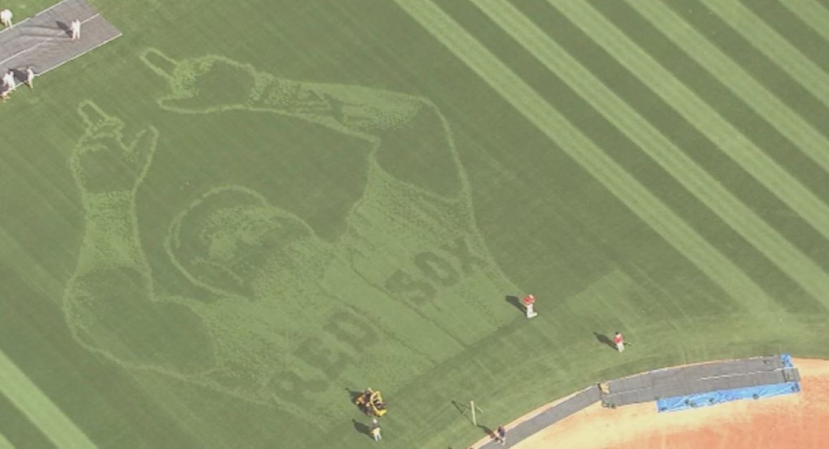 Have we reached peak Papi? The grass at Fenway was mowed to look like his face