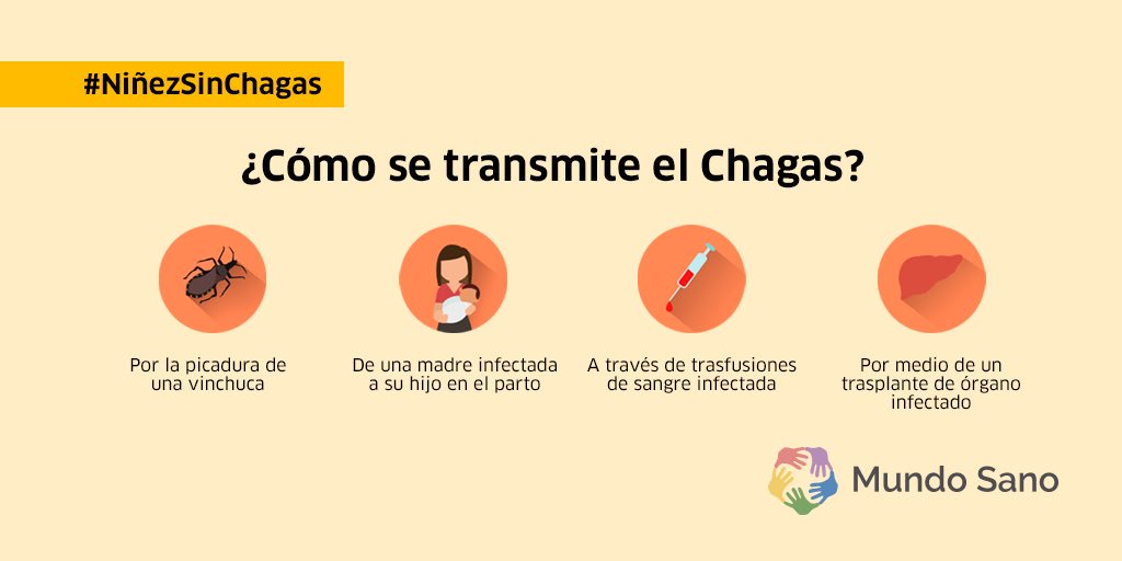 jorgedotto's tweet photo. Tenés dudas si tenés Chagas? Acá hay más información: https://t.co/qBMoBRKS5e https://t.co/LxhQZPyuuQ
