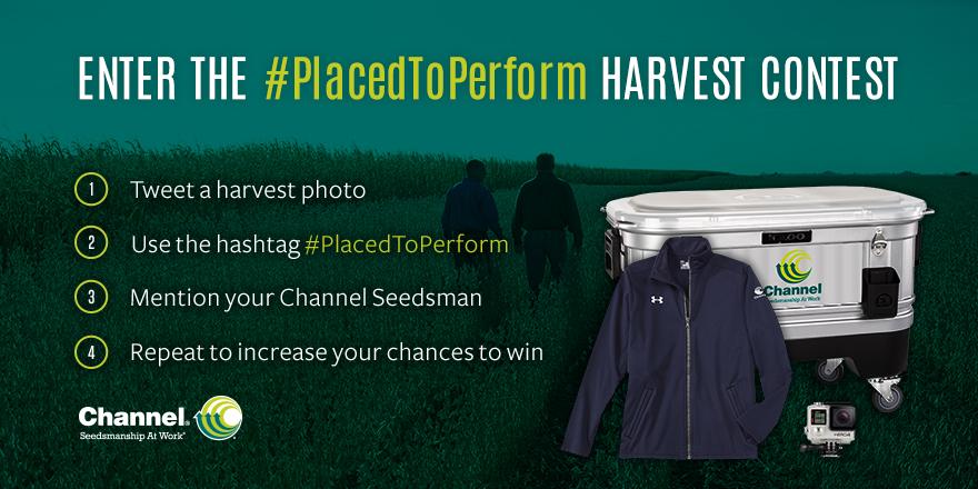 ChannelSeed's tweet image. Tweet a harvest photo, tag your Seedsman and you could win weekly prizes. It's that easy. #PlacedToPerform