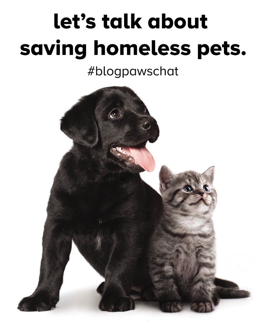 Join us on 10/4 for the #BlogPawsChat, 8-10 pm EST! <a href="/BlogPaws/">blogpaws</a> <a href="/PetSmartChariTs/">PetSmart Charities®</a>  <a href="/RockyKanaka/">Rocky Kanaka</a> <a href="/saveourshelter/">SAVE our SHELTER</a> <a href="/DogforDog/">Dog for Dog</a>
