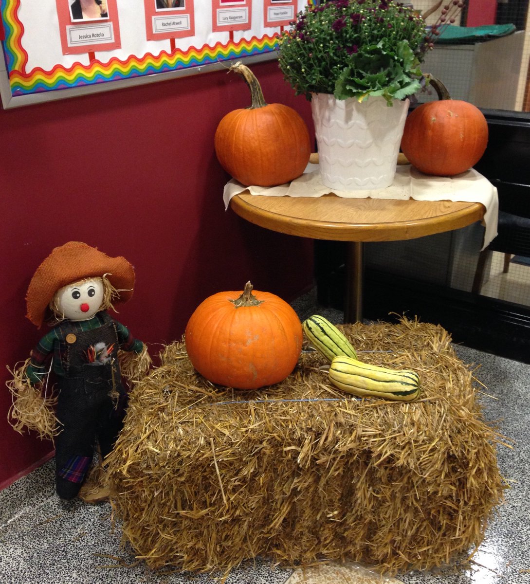 HeydonParkSS's tweet photo. We're ready for Halloween #fall #Halloween2016 #pumpkins #haystacks #fun #squash #fallflowers #Toronto #friendlyscarecrows #tdsb https://t.co/0eSkx1GQpX