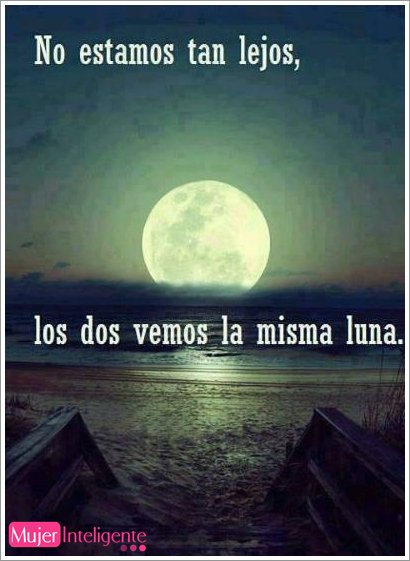 susytadinda's tweet photo. Miren mis niños #Yesii #Noe https://t.co/8AlS1PAIOd