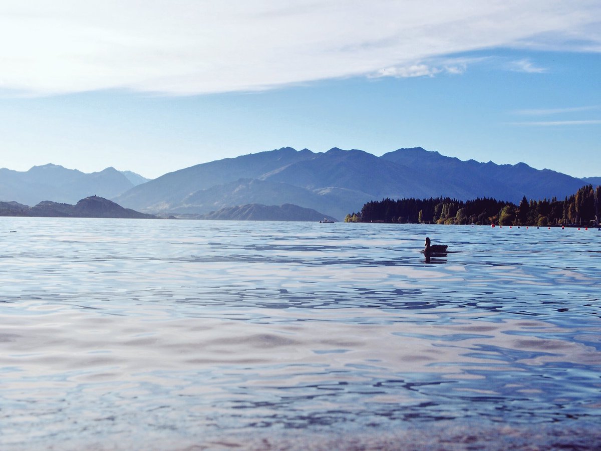 jigsawwpuzzles's tweet photo. 📍Lake Wanaka, New Zealand          #นักเรียนแลกเปลี่ยน https://t.co/vFte2liP7b