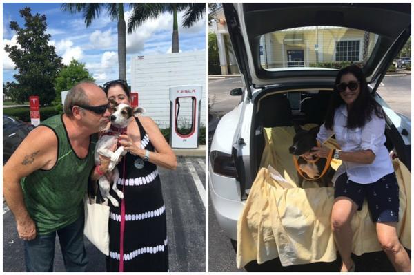 EV_Together's tweet photo. Couple Uses Tesla To Rescue Dogs https://t.co/mmxPinn0SA #EV https://t.co/e72v81XXss