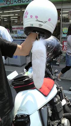 ねこ少佐 昨日ヤギィ氏がすんごい触り心地良いかわいいしっぽヘルメットに付けてて走行中たなびいてて しっぽかわいいな欲しいな って思ってたらあれ 走り屋ファッションなのね ねこ少佐 昨日ヤギィ氏がすんごい触り心地良いかわいいしっぽヘルメットに付けてて走行中たなびいてて しっぽかわいいな欲しいな って思ってたらあれ 走り屋ファッションなのね