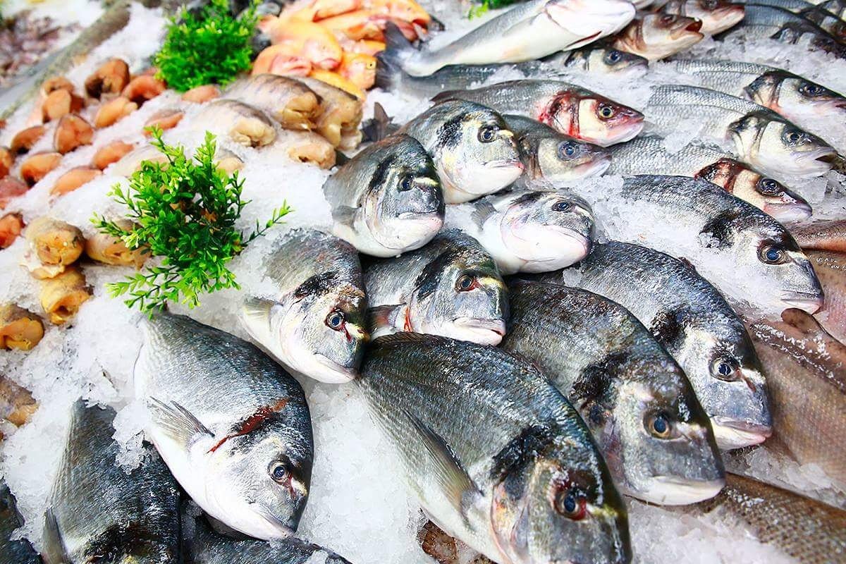 ProudToBeAChef's tweet image. #PTBAC 2017 day 2 kicks off with 4am tour of @Melbourne_fish_market, followed by filleting masterclass #cheffskills #apprenticechefs