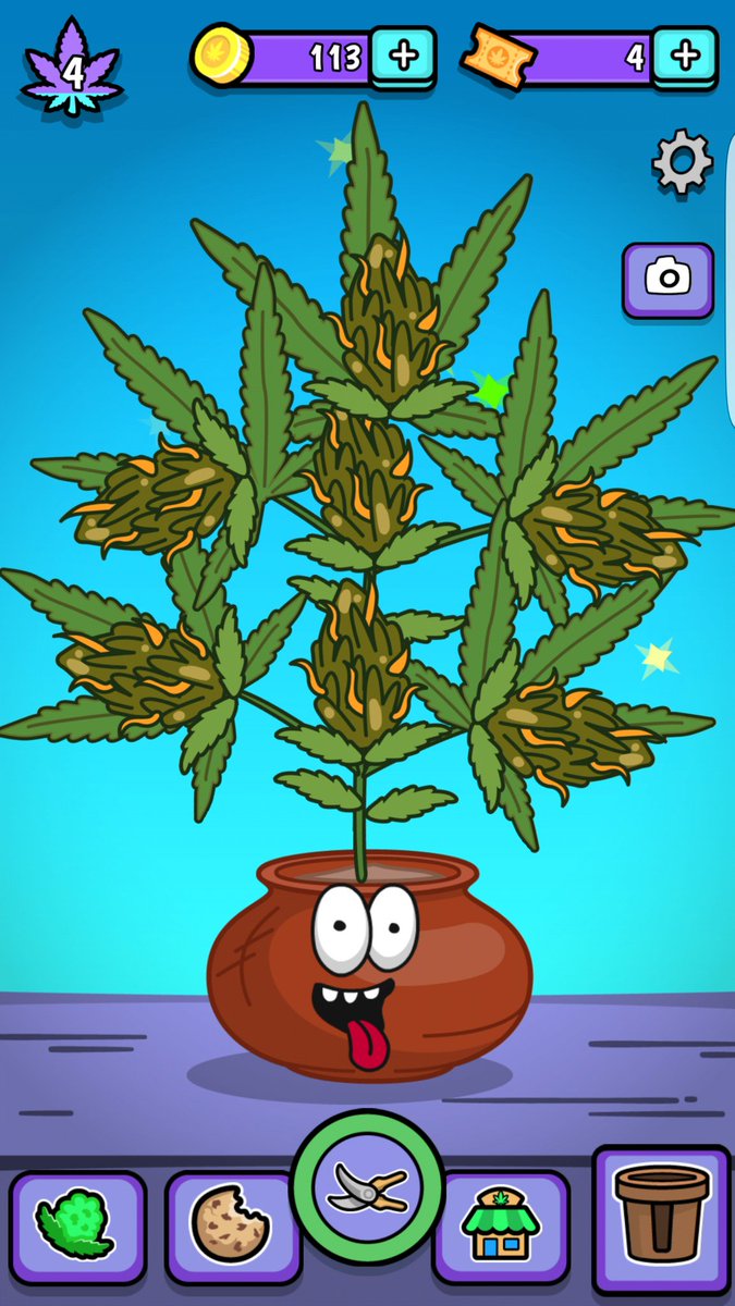 younghula's tweet image. Don't ask me what I'm growing 😂 @playpocketbuddy #PocketBuddy