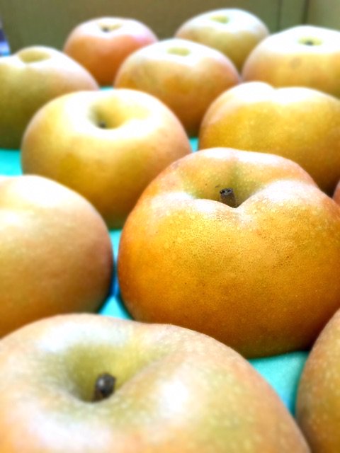 ブログを更新しました。 『直送の南水梨』
ameblo.jp/39fruits/entry…
#南水梨
#長野県
#アメブロ