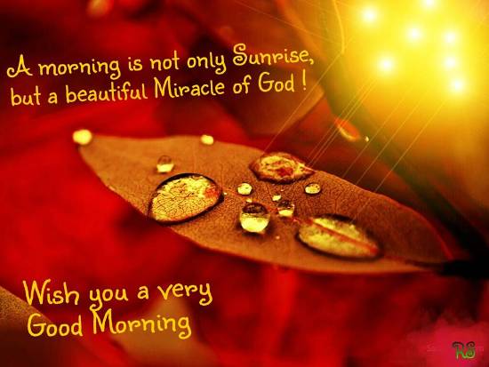 watcheru1004's tweet photo. @PsalmistKi @dhhearts @nazarene_chick @1_John3_23 @HLERadio @nichole7676 
Have a sensational Saturday dear friends! God bless you always! https://t.co/tRNjuBhIMZ