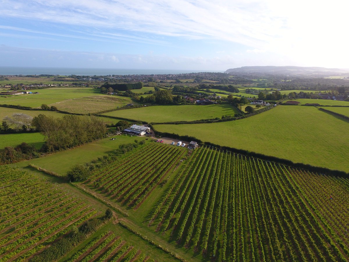 wightskycam's tweet photo. Couple of stills from a shot this week at @AdgestoneVines .
Thanks to Russ and his team.. https://t.co/3HWtpYTbcf