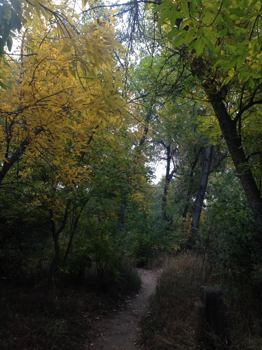 Jasmin_Mansor's tweet photo. 🍂🍁🍂✨🍂🍂🍃✨ #allaboutfall https://t.co/XUC79Aqgac