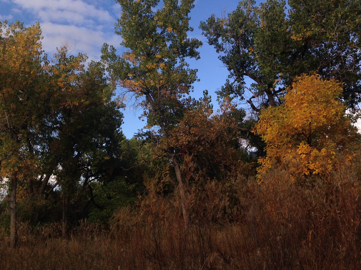 Jasmin_Mansor's tweet photo. 🍂🍁🍂✨🍂🍂🍃✨ #allaboutfall https://t.co/XUC79Aqgac