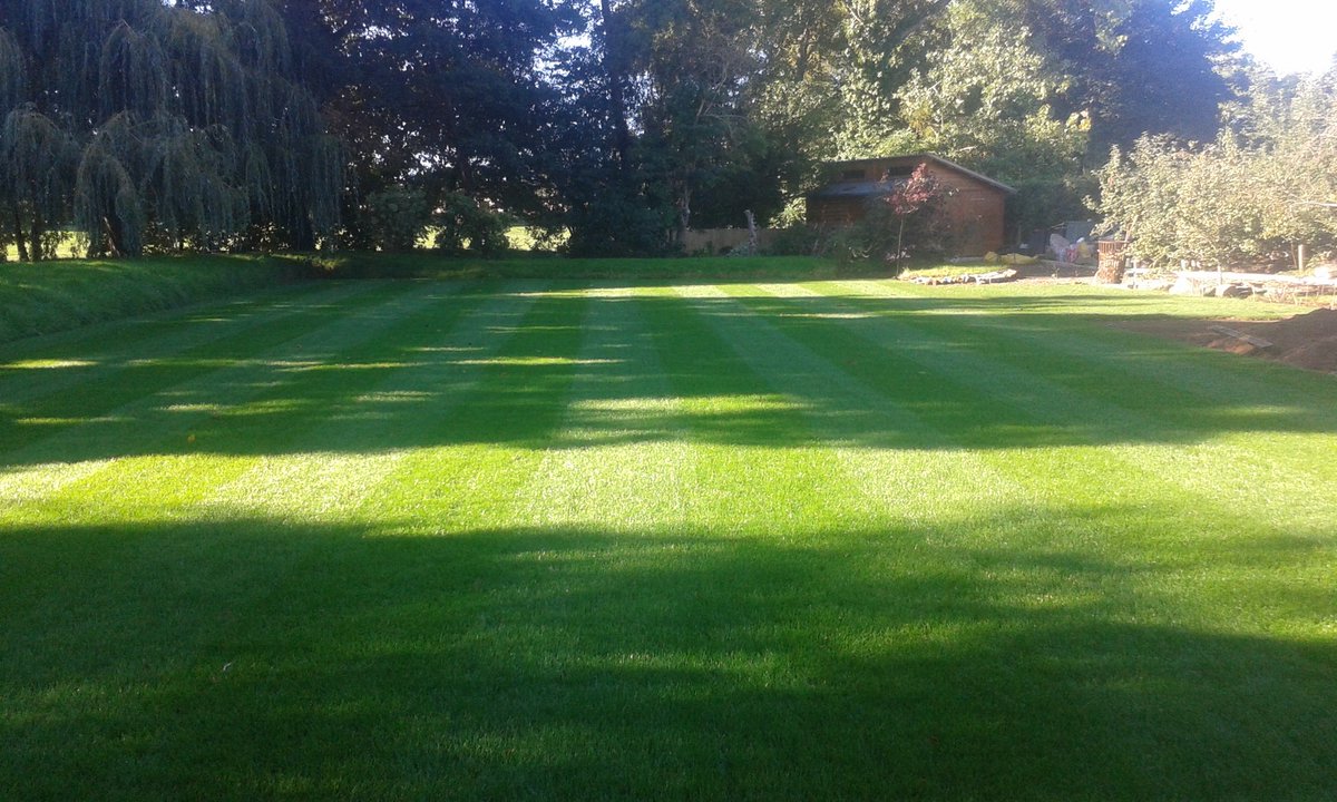 newmo1972's tweet photo. @VivaryParkGC my little turfing job starting to take shape now after first cut and roll https://t.co/0rZWlqUjVN